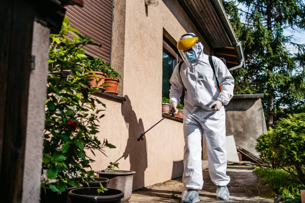 Best Residential Pest Control  in Wayne, IL