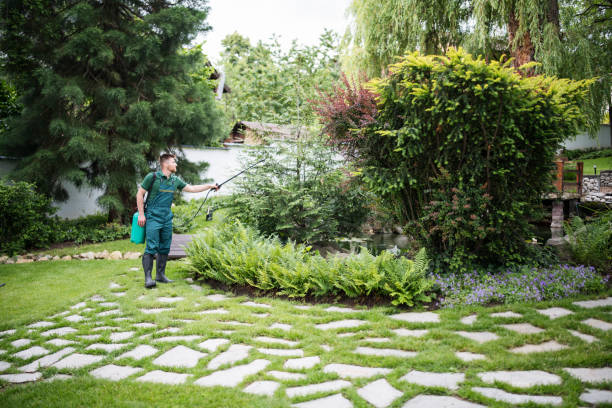Best Affordable Pest Control Services  in Wayne, IL