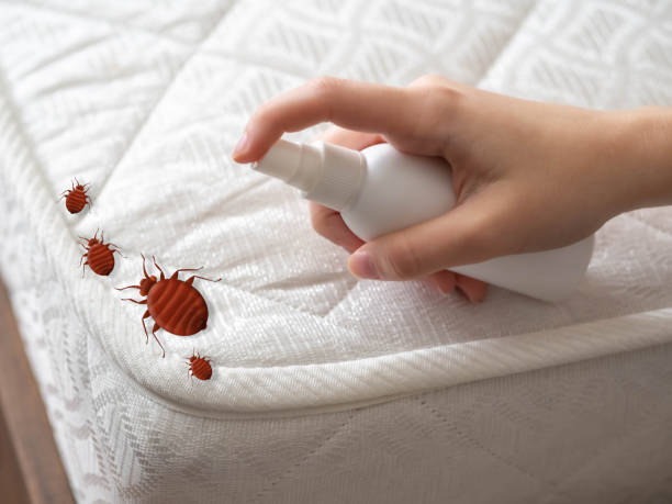 Wasp Removal Services in Wayne, IL