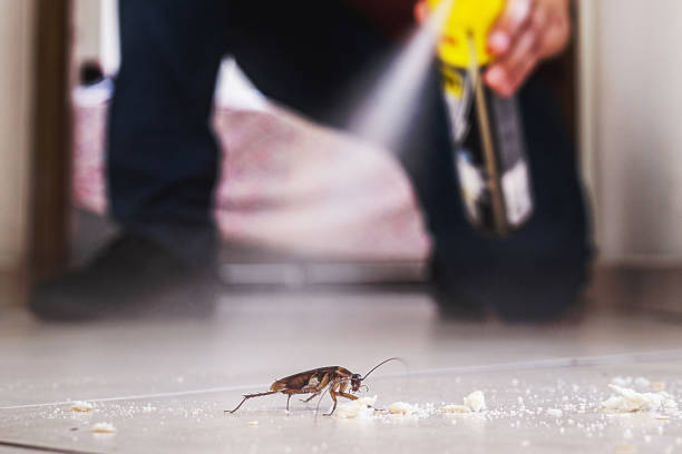 Best Best Pest Control Companies  in Wayne, IL