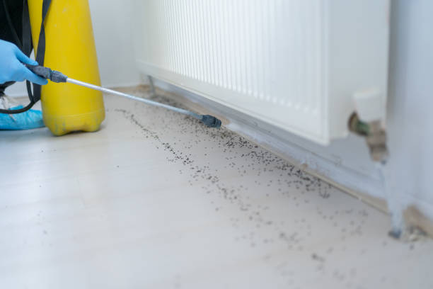 Best Pest Prevention Services  in Wayne, IL