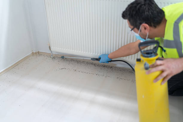 Best Wasp Removal Services  in Wayne, IL