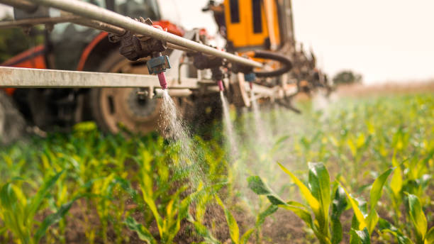 Best Pest Removal Services  in Wayne, IL